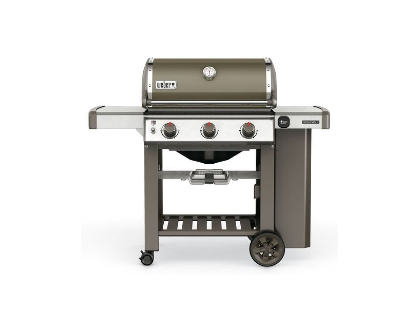 Barbecue Genesis II E-310