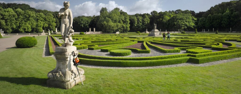 Entretenir et tailler sa haie : nos conseils pour un jardin au top